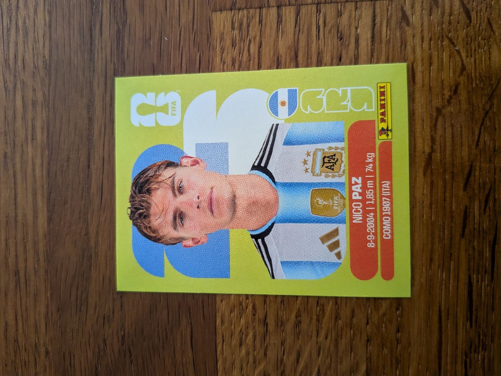 Panini Sammelbilder & Trading cards: Panini Argentinien 14 – Neu (gemäss Beschreibung) aus Dittingen von uke4243
