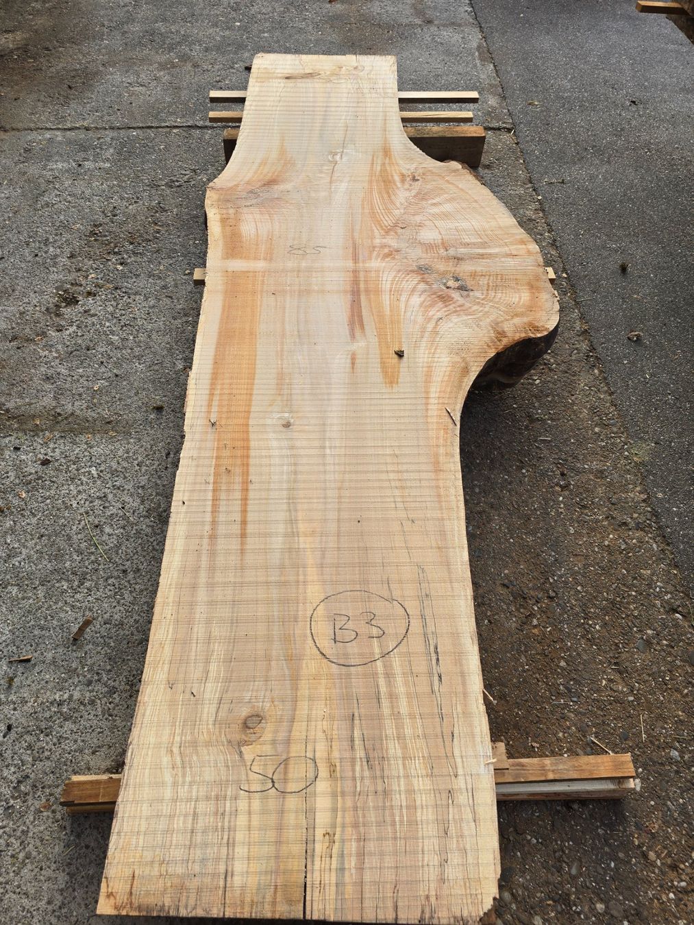 Articoli in legno: Buchenknollen Brett – Nuovo (secondo la descrizione) da Ramsei venduto da Waelchris 5