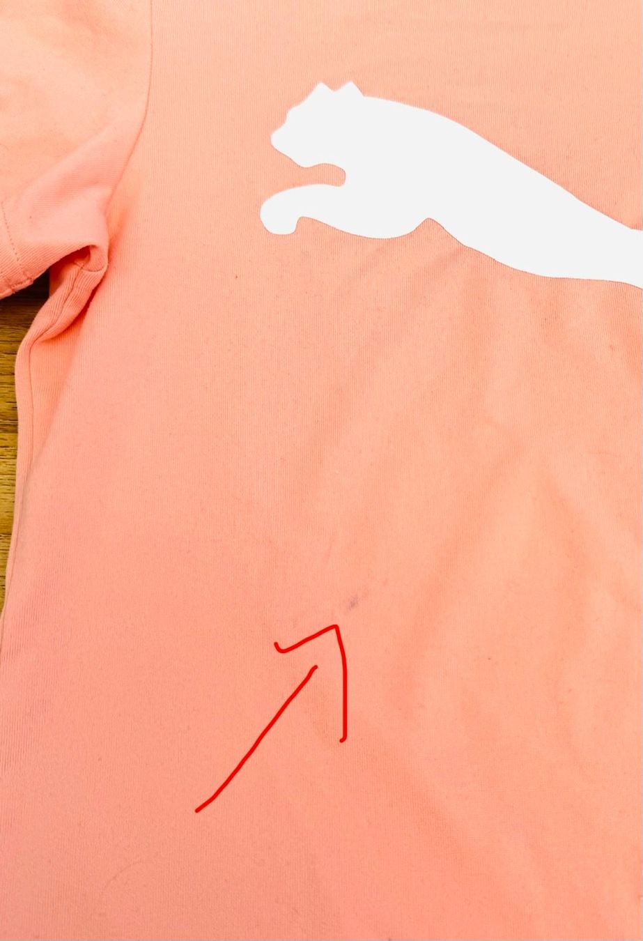 Puma Blusen, T-Shirts & Tops: Sportshirt, Gr. 164, PUMA – Gebraucht aus Beinwil am See von Fgrisch 1