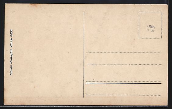 Cartes postales: AK Schaffhausen, Munot – D'occasion à Berlin par bartko-reher 1