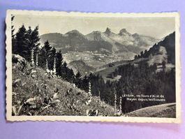 Leysin - les Tours d'Aï