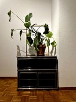 USM Haller Sideboard in zeitlosem Design - Top Zustand!