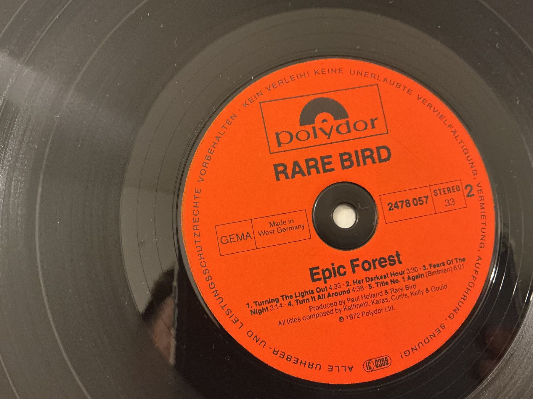 Dischi in vinile: Rare Bird LP - Epic Forest – Usato da Winterthur venduto da Tumko-Vinyl 2