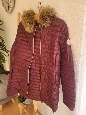 Sun Valley  manteau bordeau xxl