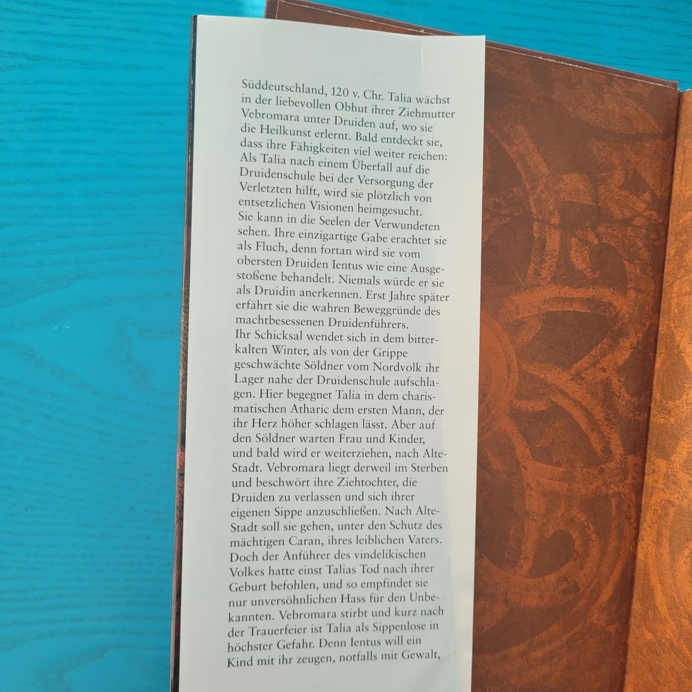 Bücher: Birgit Jaeckel- Die Druiden / Fantasy – Gebraucht aus SCHÜBELBACH von CoKaHa 2