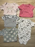 5x kurzärmelige Bodys für Mädchen Größe 98 🎀