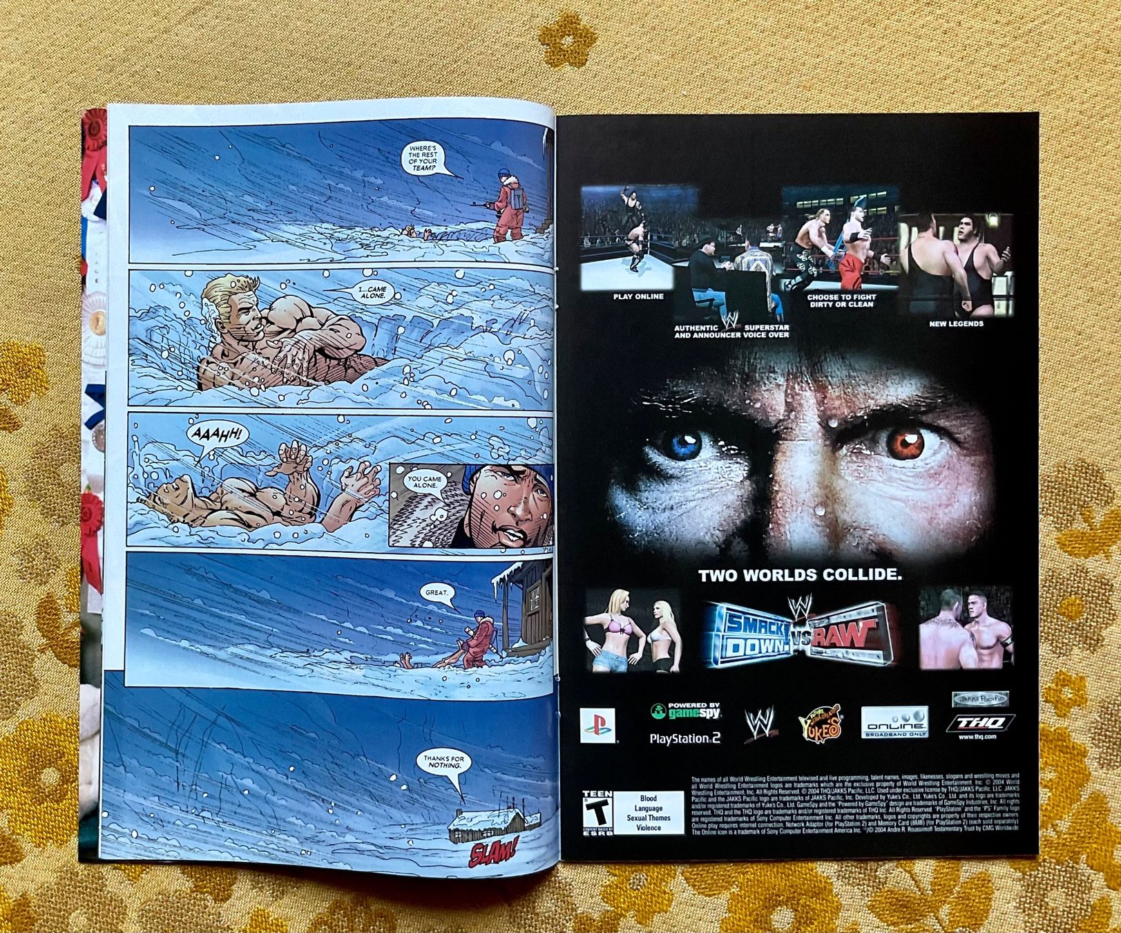 Fumetti: Sabretooth Heft Nr 3 von 2005 ENGLISCH – Usato da Endingen venduto da nathan05 2