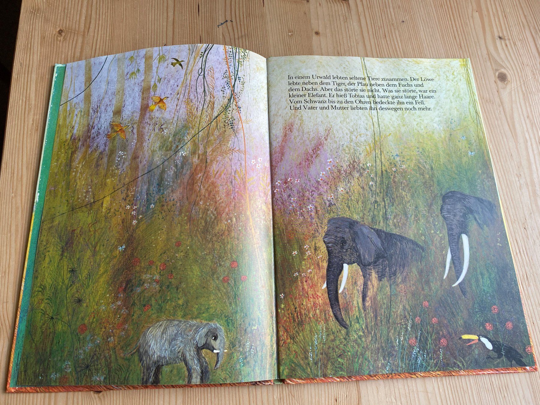 Libri: Bernadette: Ein Elefant mit Haaren; neuwertig! – Nuovo (secondo la descrizione) da Weinfelden venduto da Cheyenne21 1