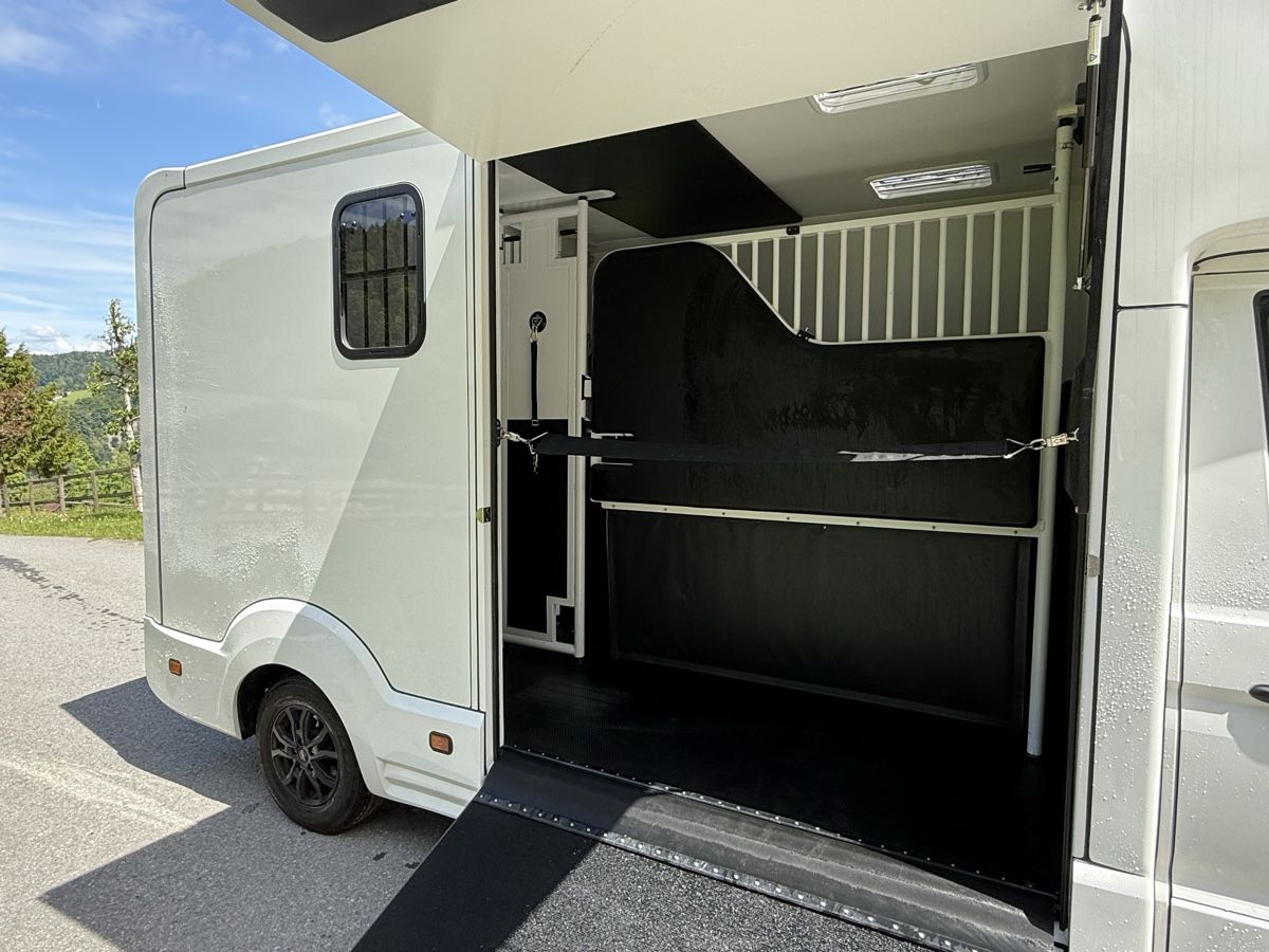 Man Veicoli commerciali: Pferdetransporter  – Nuovo (secondo la descrizione) da St. Gallen venduto da rap_kql2 3