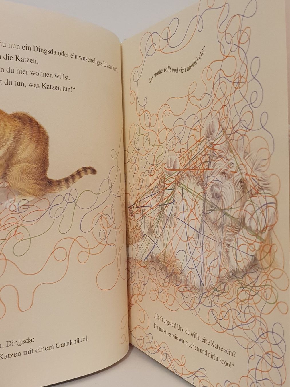 Bücher: Und du willst eine Katze sein / 1997 Kinderbuch / #L – Gebraucht aus Oberdorf BL von BaldenEagle 3