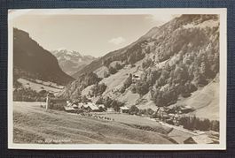 AK Mels WEISSTANNEN um 1930