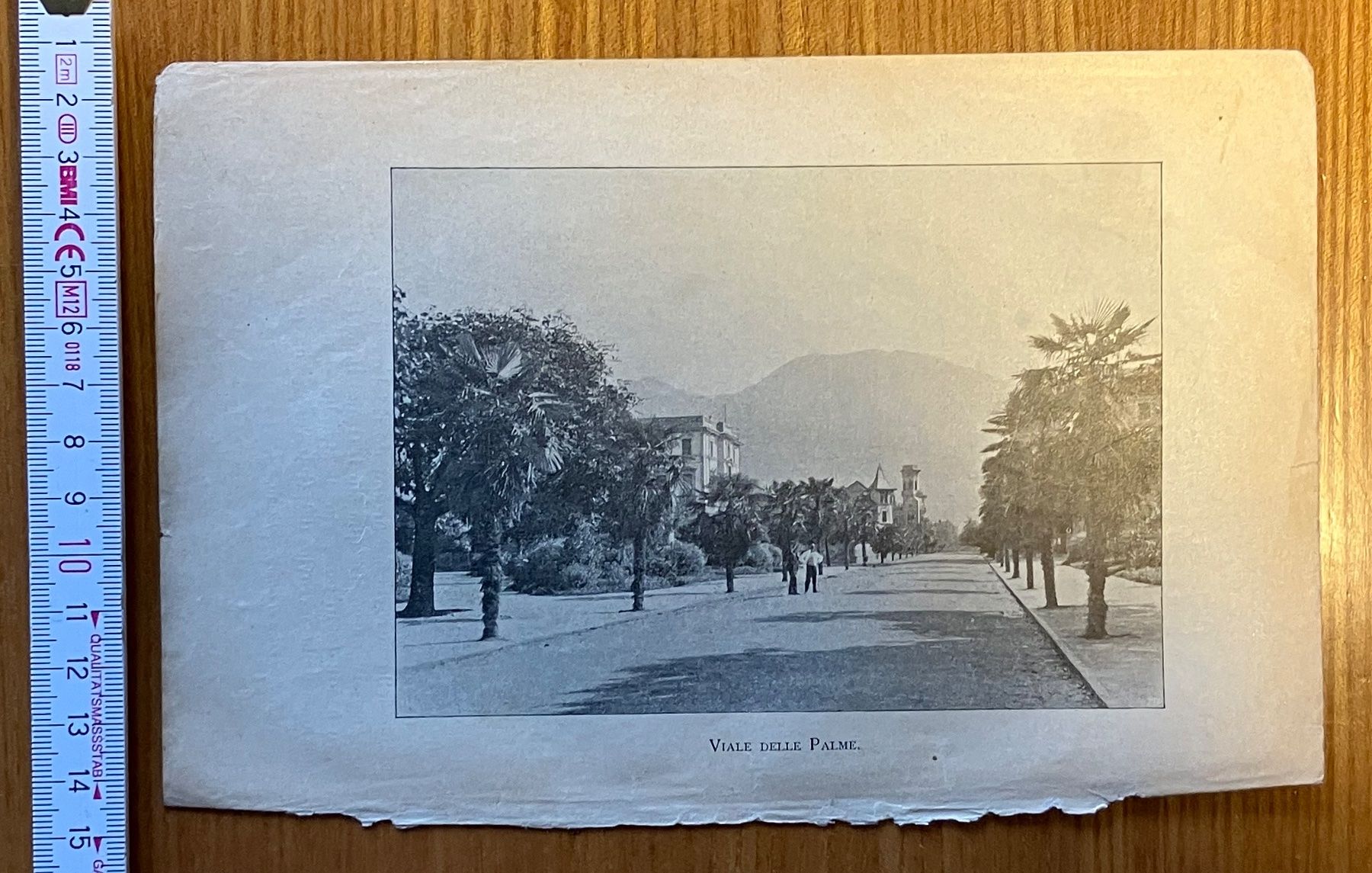 Poster & Bilder: Locarno, viale delle Palme, 1911 – Gebraucht aus Aarau von luck123
