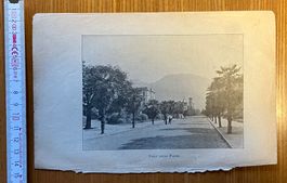 Locarno, viale delle Palme, 1911