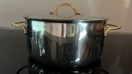 SIGG Kochtopf Edelstahl mit Deckel gebraucht 20 cm