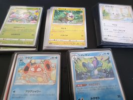 Pokemon TCG Diverser Japanischer Bulk