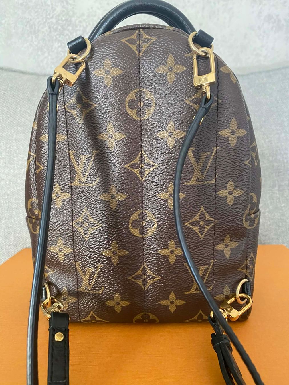 Louis Vuitton Sacs à dos: Louis Vuitton Palm Springs Mini Backpack – D'occasion à Frauenfeld par pau_77qk 2