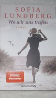 Sofia Lundberg Wo wir uns trafen Roman 