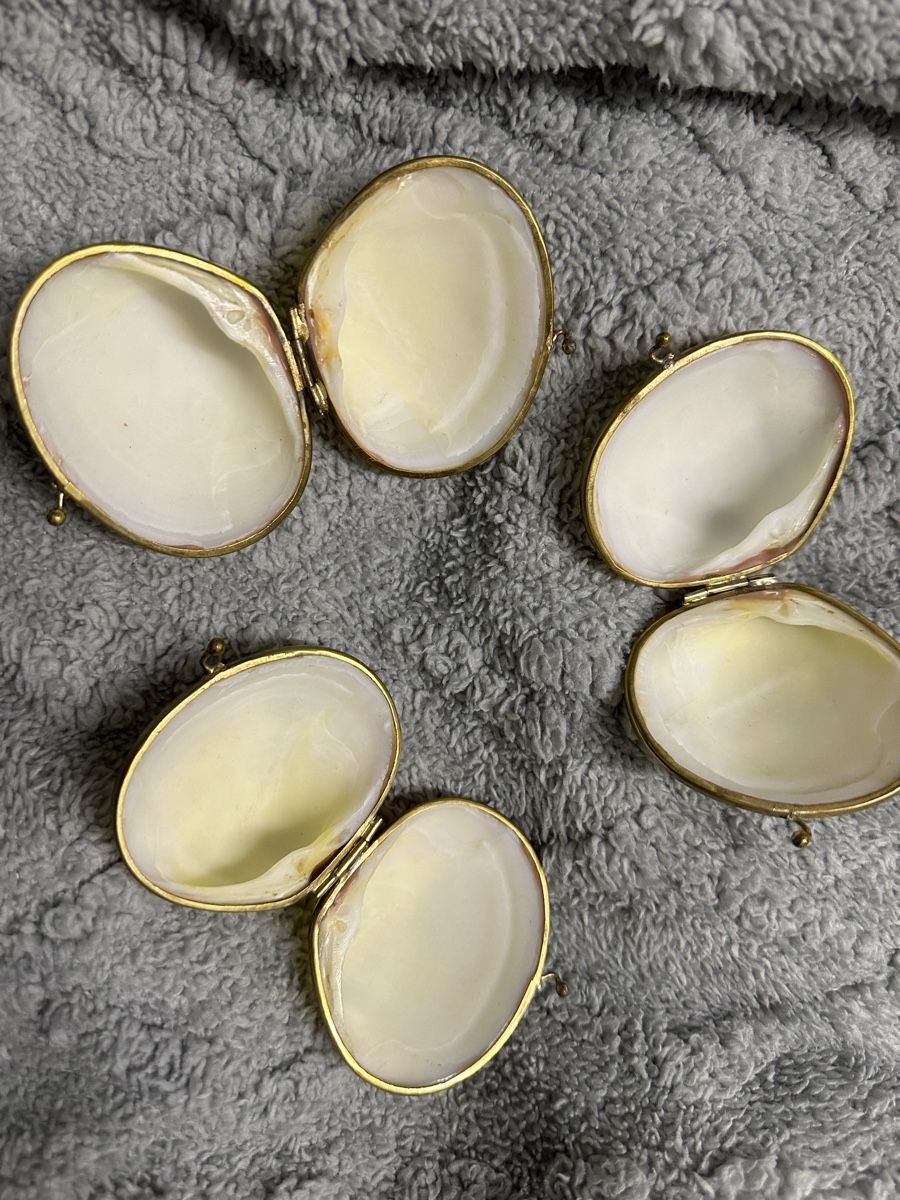 Tutte le decorazioni: Antike Pillendose Muscheln  – Usato da Oberentfelden venduto da vilibrand 3