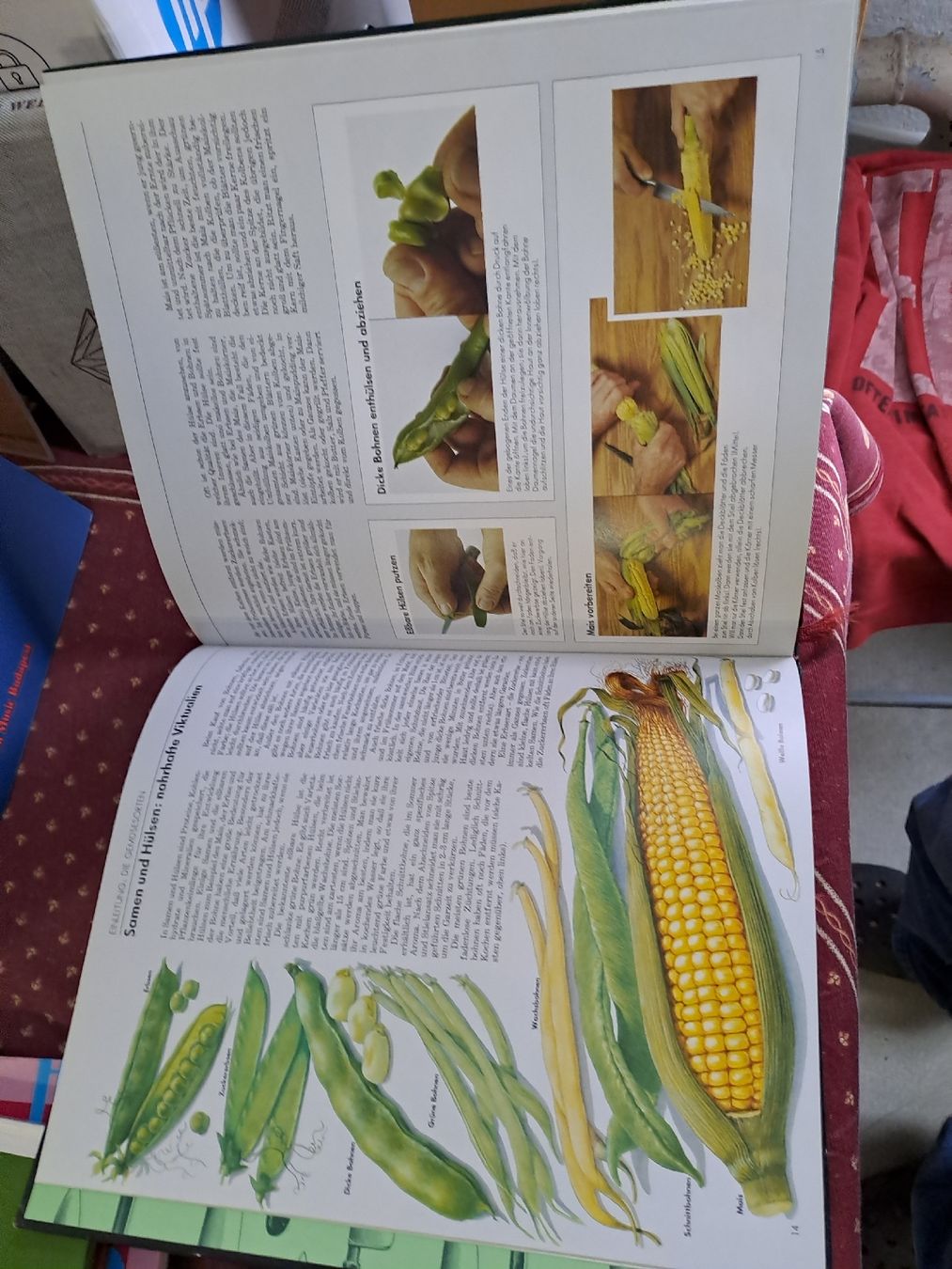 Libri: Kochbuch Gemüse - Die Kunst der Kochplanmethoden - Top! – Usato da Zürich venduto da Schoebi19 2
