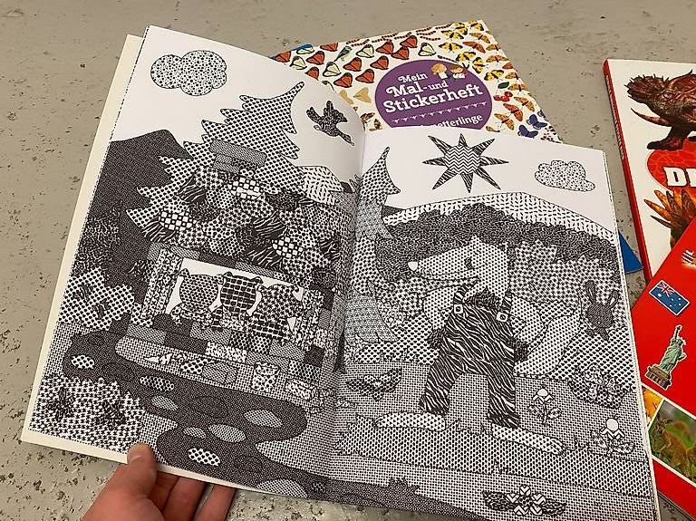 Libri: Bücher und Hefter für Kinder – Nuovo (secondo la descrizione) da Zürich venduto da Cleo234 3
