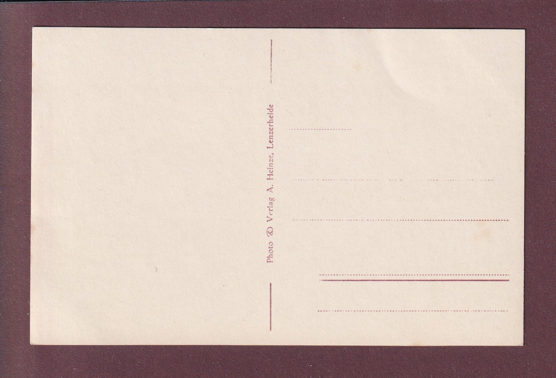 Cartoline postali: LENZ - Marienkirche - Schafherde – Usato da Pully venduto da nicecards 1