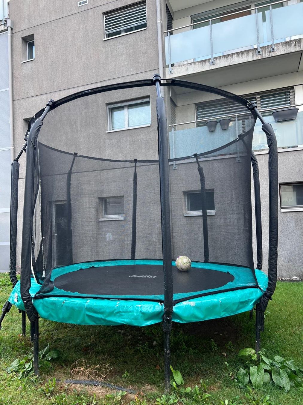 Salta Trampoline: Trampolin Salta First Class – Gebraucht aus Dällikon von outpost 1