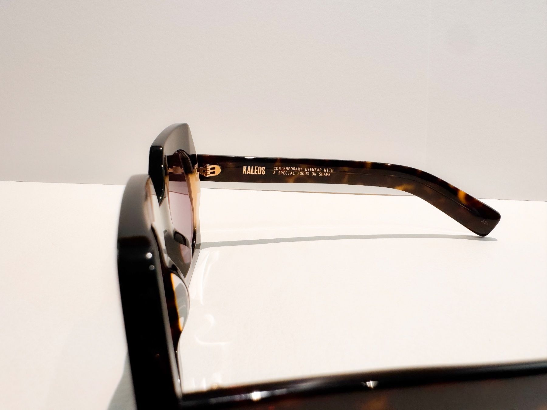 Brillen & Gläser: Sonnenbrille von KALEOS – Gebraucht aus Zürich von gregart 6