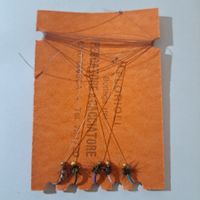 Gambe 5 nymphes à perles dorées/Goldkopf Hegene