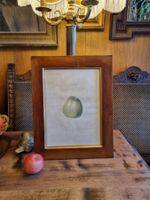 Antike botanische Druckgrafik Apfel Holzrahmen