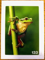 Migros Nature Detectives - Bild Nr. 133