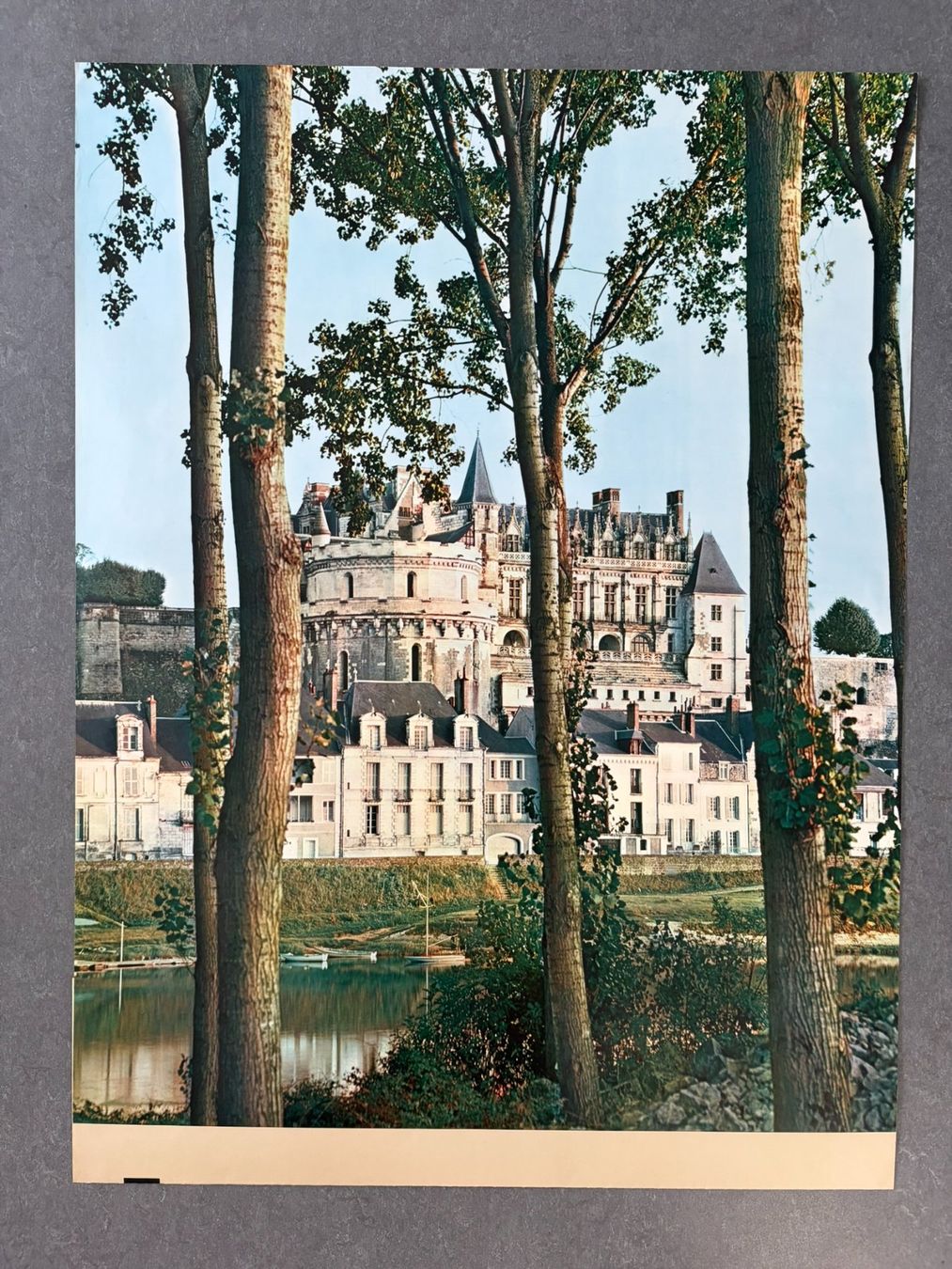 Foto & Immagini: Original Vintage Poster - Chateau D'Amboise – Usato da Zürich venduto da jesulin05 1