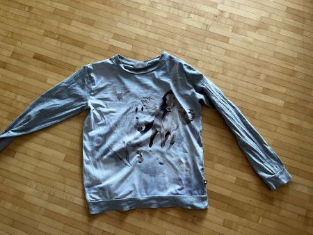 Molo Langarmshirt 152 Pferd/Pegasus