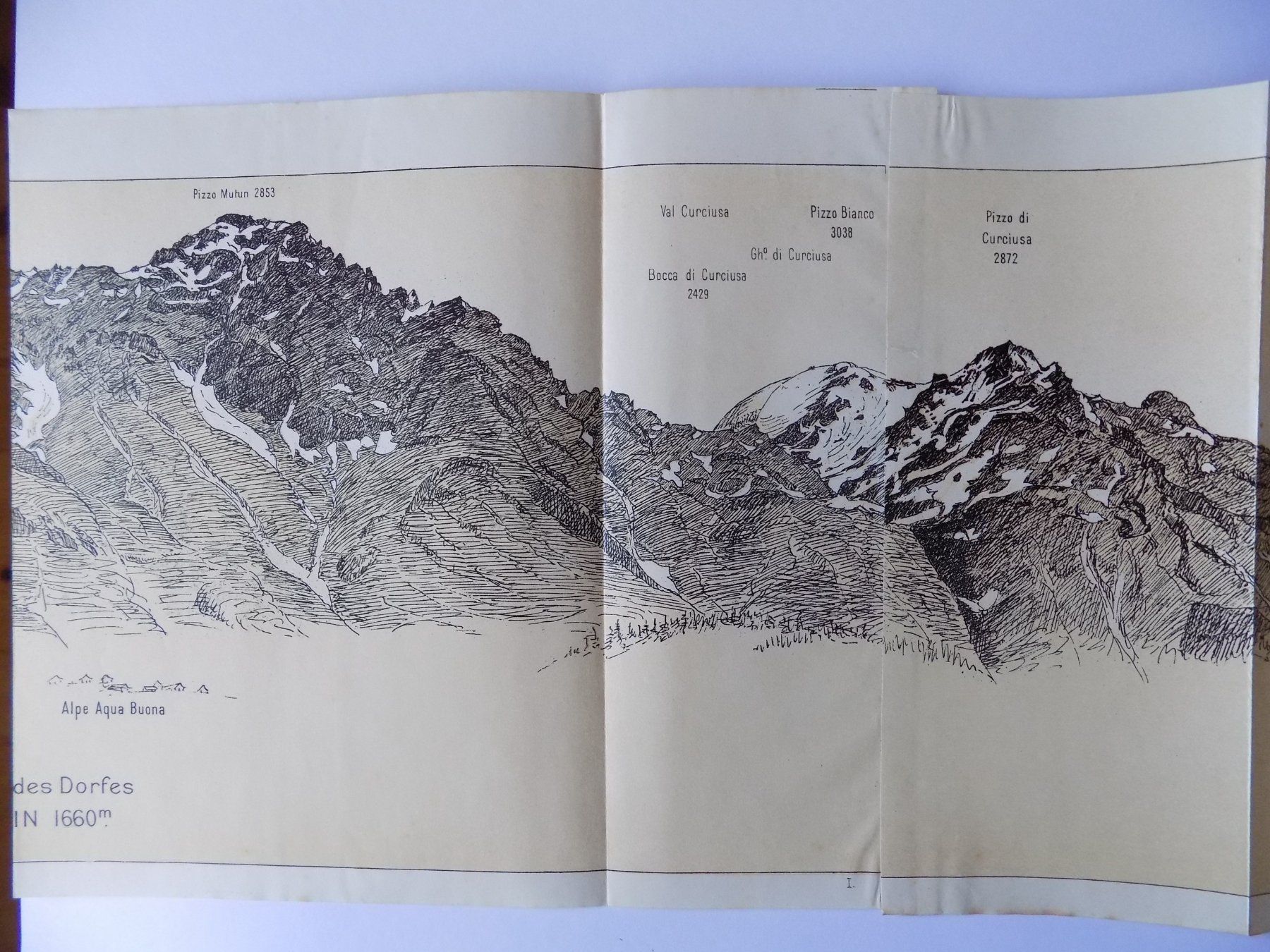 Incisioni: Panorama der Misoxer Alpen 1904 – Usato da Risch venduto da Antikfee 1
