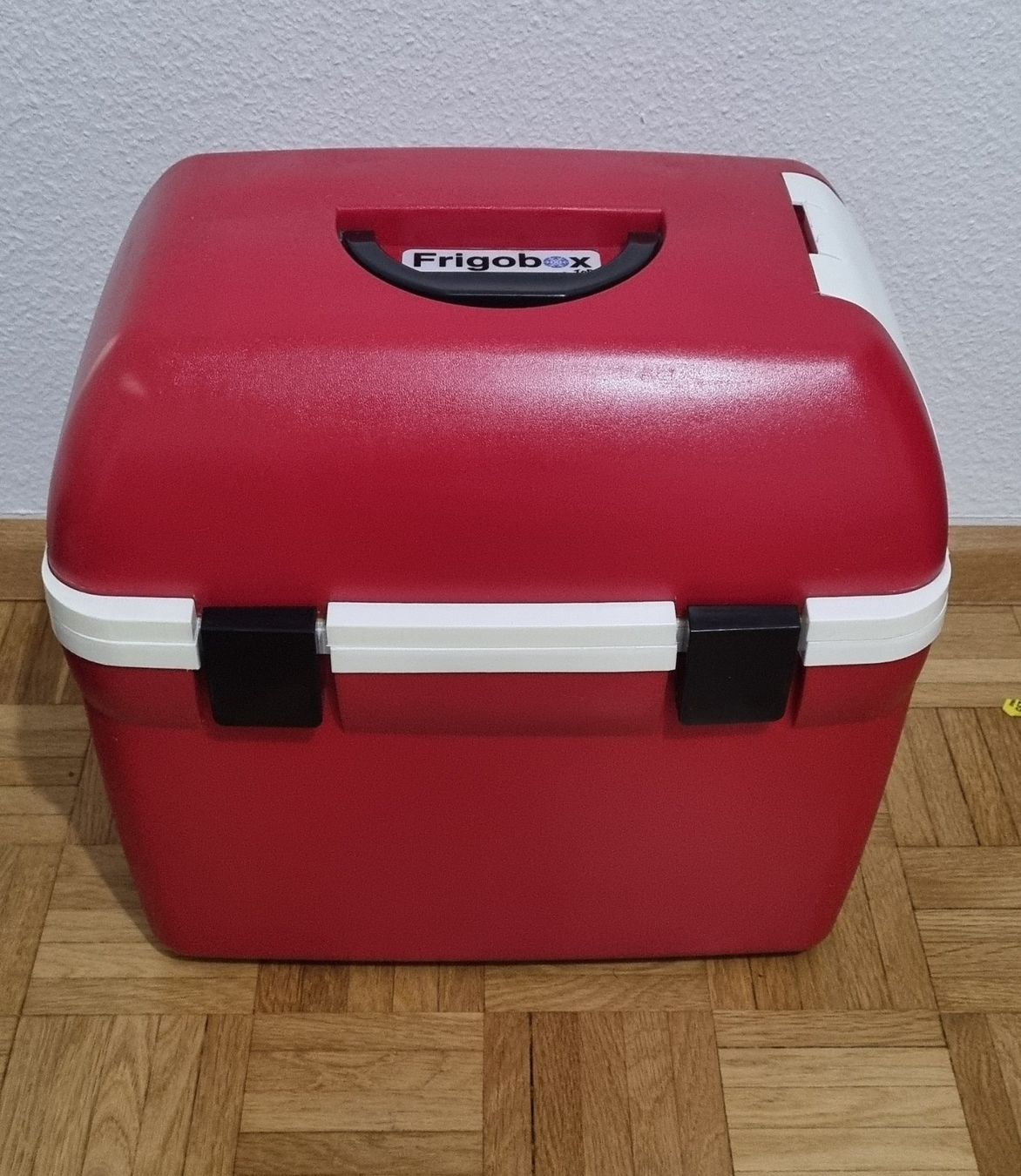 Frigoriferi & Refrigeratori: Kühlbox / Warmhaltebox Frigobox – Usato da Basel venduto da Dawid1713