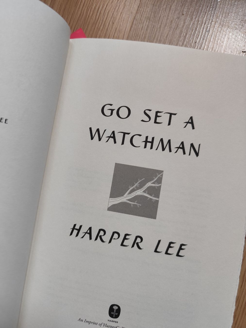 Libri: Harper Lee "Go Set a Watchman" – Usato da Mägenwil venduto da VintageGirly 7