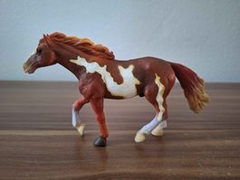 Paint Horse Procon Antiquariat