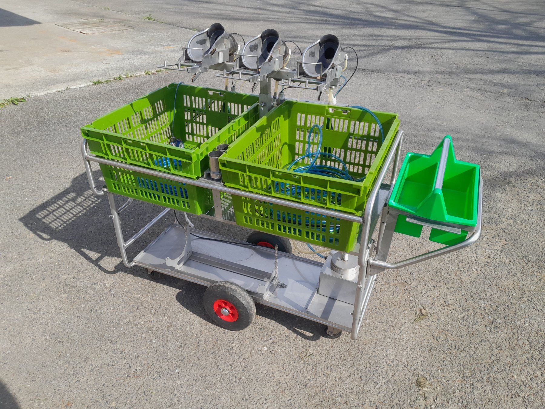 Tutte le macchine: Ferkel Kastrationsgerät PigSleeper – Usato da Oberkirch LU venduto da terratrac120 4