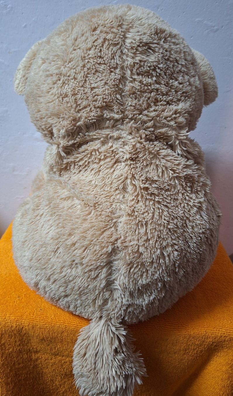 Giocattoli: Kuschel Bär, 63cm beige – Usato da Muri AG venduto da Edlerweiss 3