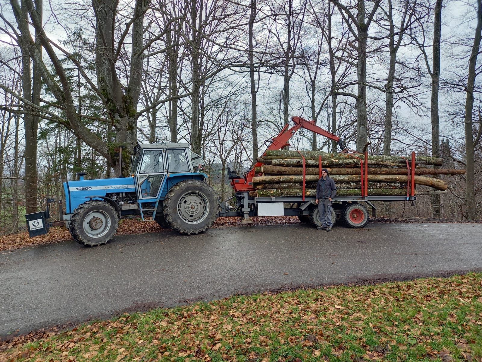 Rimorchi: Rückewagen mit Plattform und Kran – Usato da Doppleschwand venduto da Rueti02 4