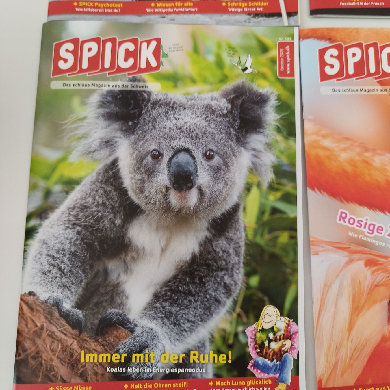 Riviste & Magazine: SPICK Magazin-Set (5 Stck) – Usato da Meilen venduto da FAVALLID 1