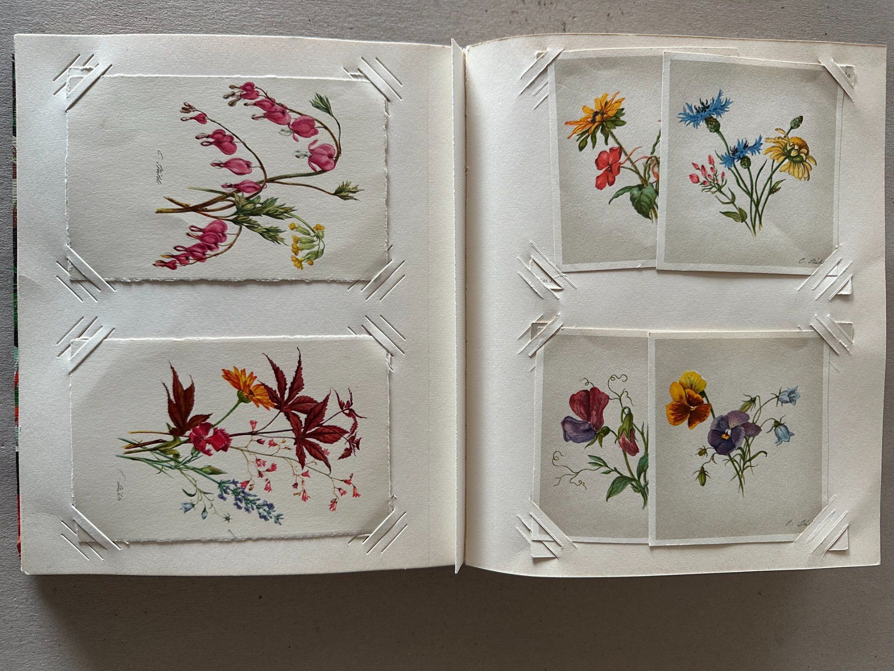 Cartoline postali: Kartenalbum mit Blumenpostkarten – Usato da Mühlethal venduto da Buntfarbe 4