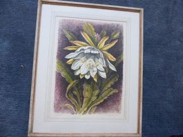 Pratteln,Alb.Weisskopf,Litho,1961,Kaktusblüte,handsigniert!