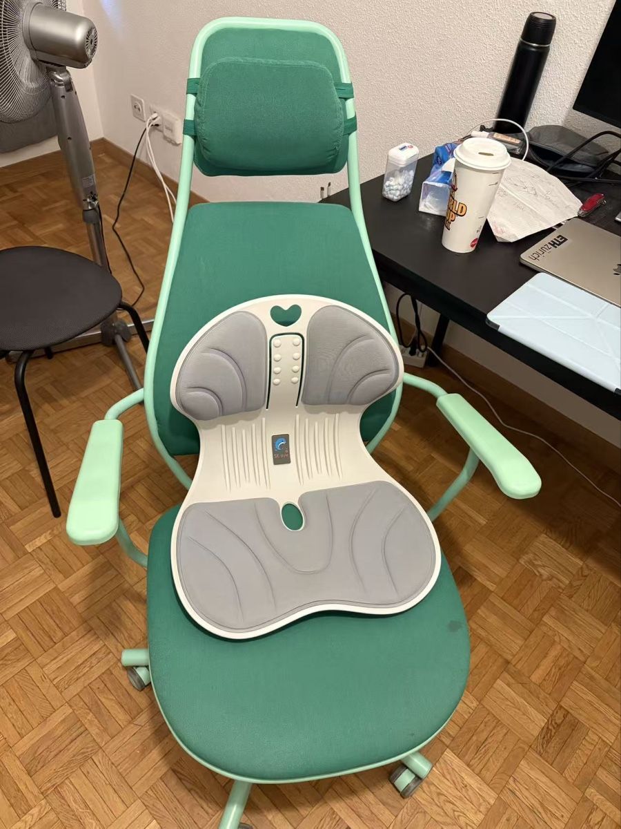 Ikea Stühle: IKEA ergonomic chair with cushion – Gebraucht aus Zürich von qin_m7pp