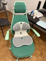 IKEA ergonomic chair with cushion