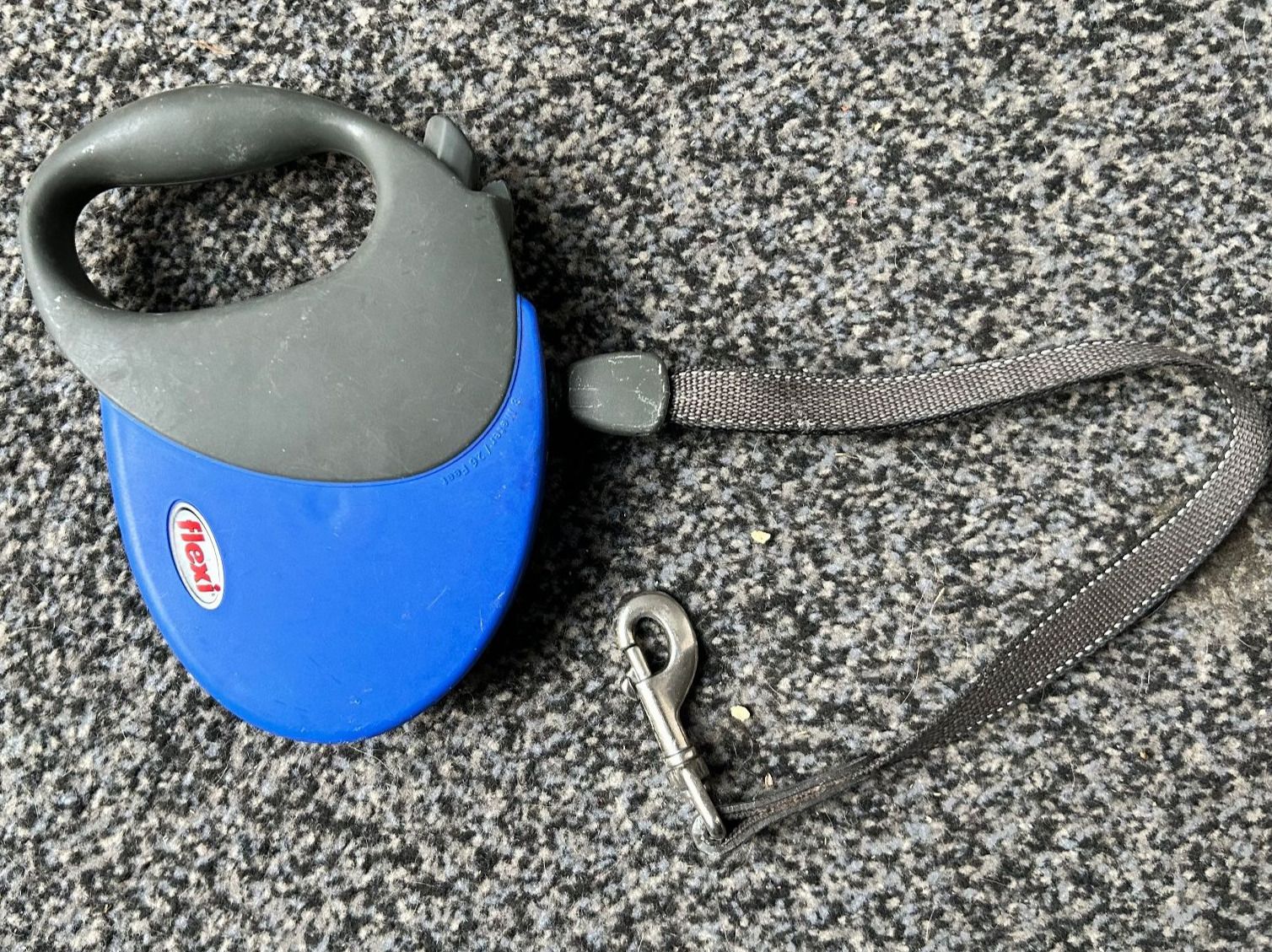 Flexi Leine & Halsband: Leine – Gebraucht aus Hausen AG von mb2023