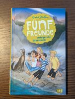 Fünf Freunde verfolgen die Strandräuber