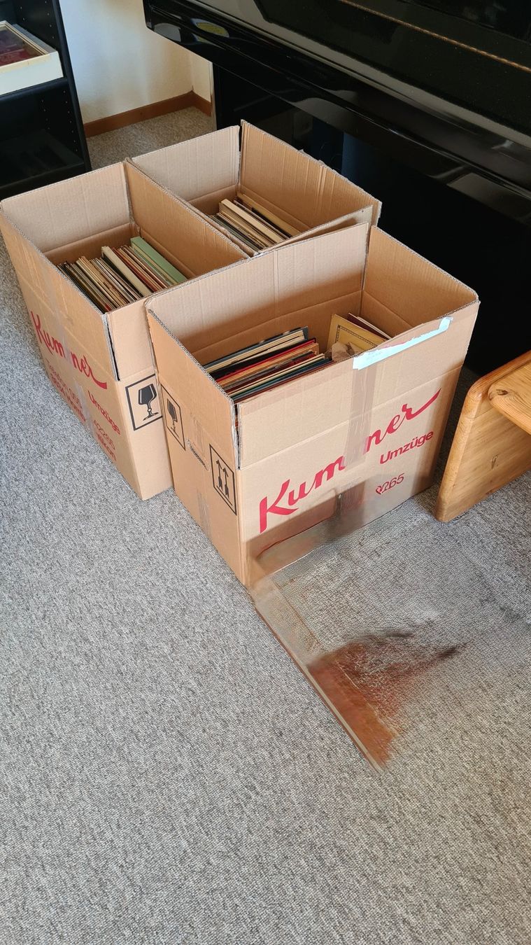 Dischi in vinile: Schallplatten-Sammlung – Usato da Eschenbach SG venduto da jno_cqq6 9