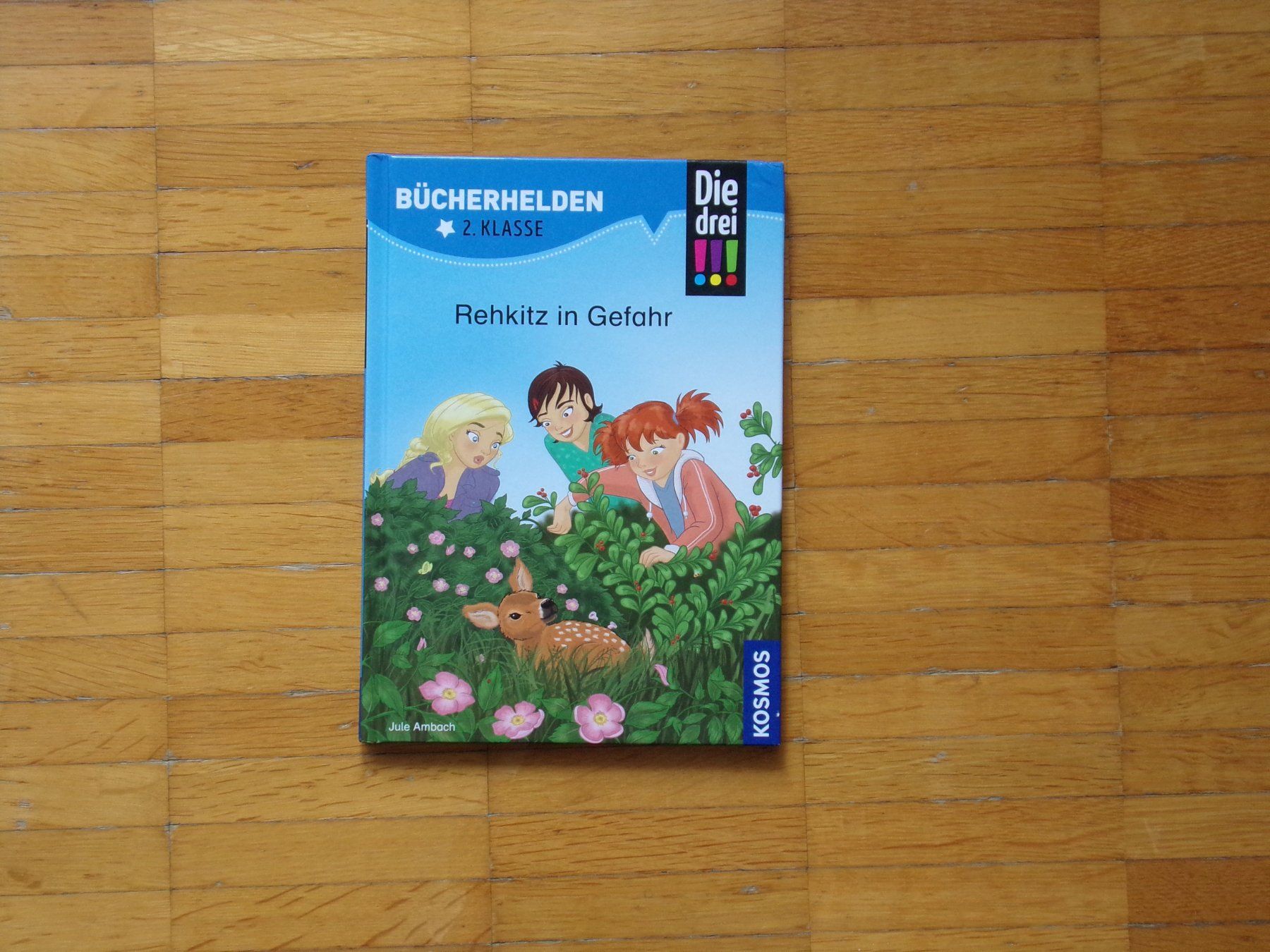 Libri: BÜCHERHELDEN Rehkitz in Gefahr – Usato da Winterthur venduto da Jessi_di