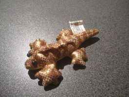Sandtier Leguan, goldig