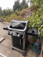 Weber Spirit